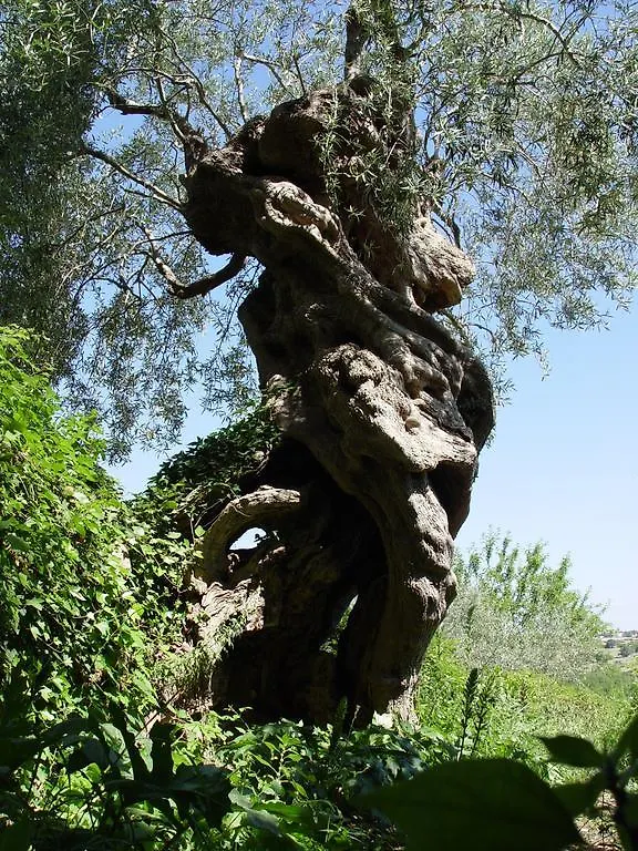 Country house Le Case Di Don Peppino Modica